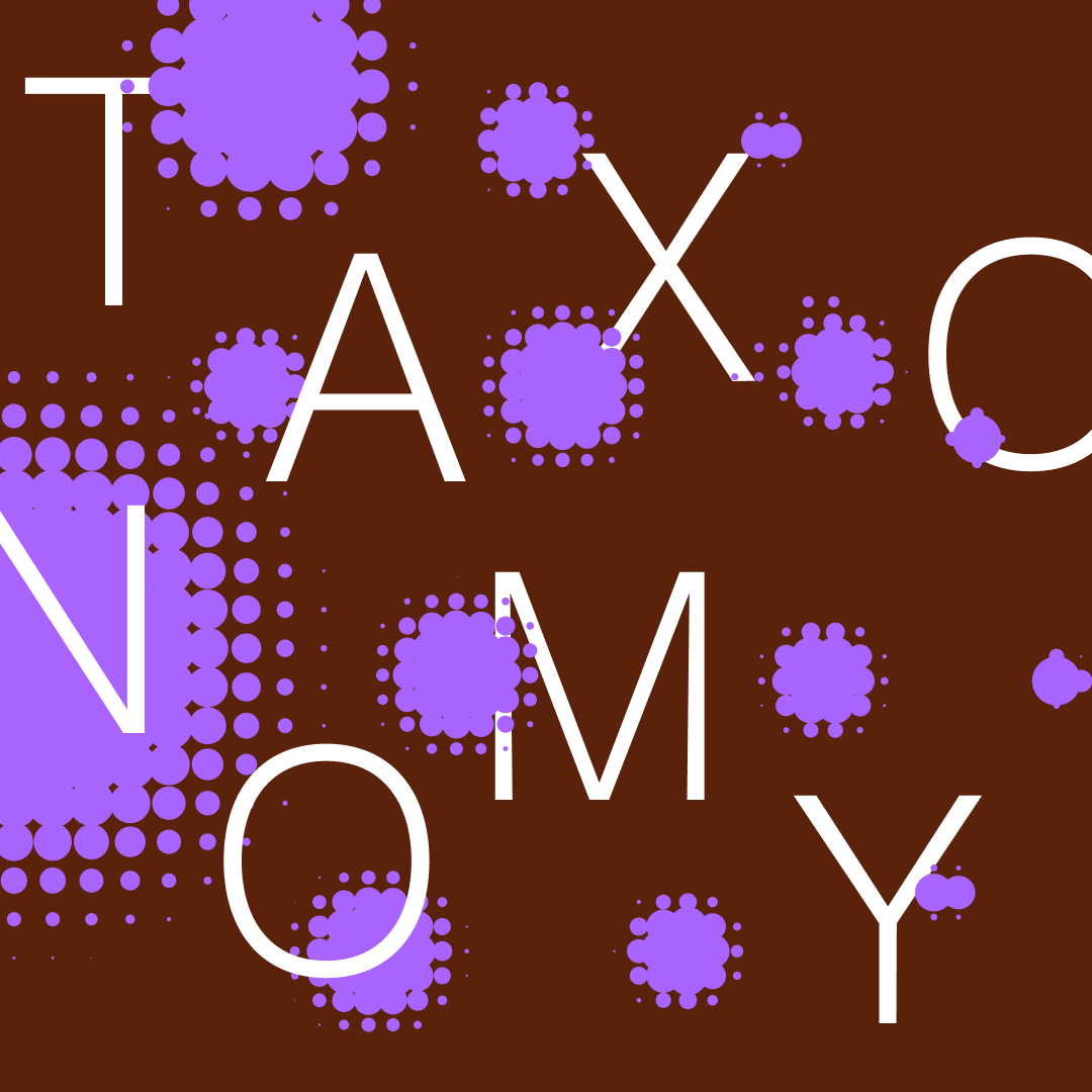 Image Taxonomy