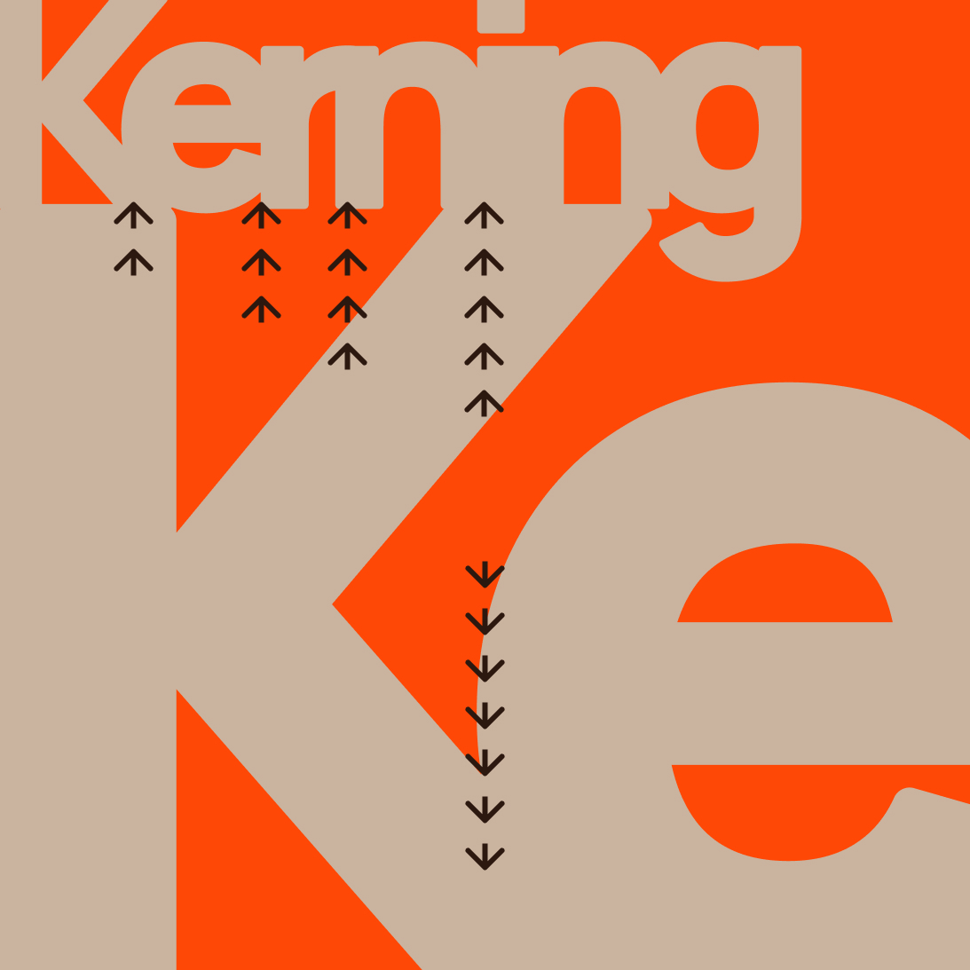 Image Type